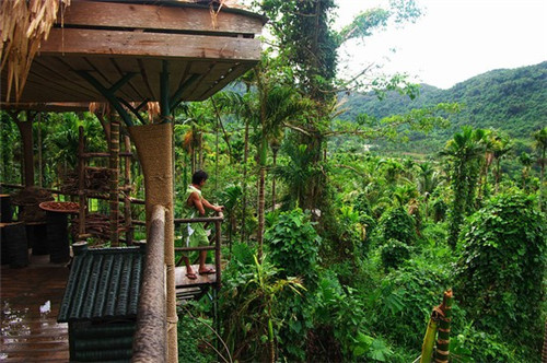 椒二哥擂椒拌饭