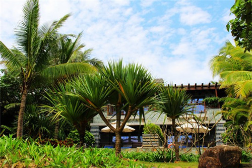 肉炒干包菜怎么炒好吃（肉炒干包菜怎么炒好吃视频）