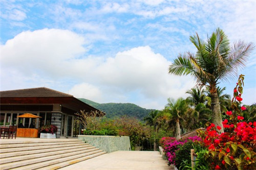 木耳炒肉的家常做法（凉拌木耳怎么做好吃）